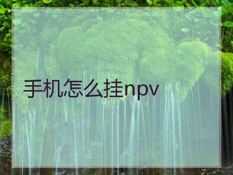 手机怎么挂npv