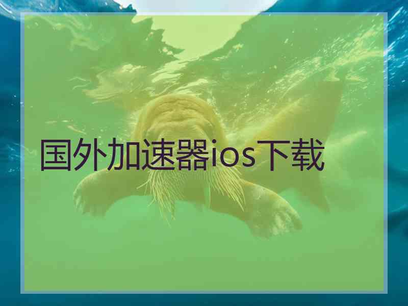 国外加速器ios下载