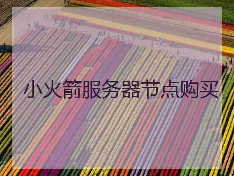 小火箭服务器节点购买