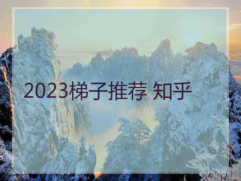 2023梯子推荐 知乎