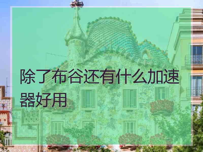 除了布谷还有什么加速器好用