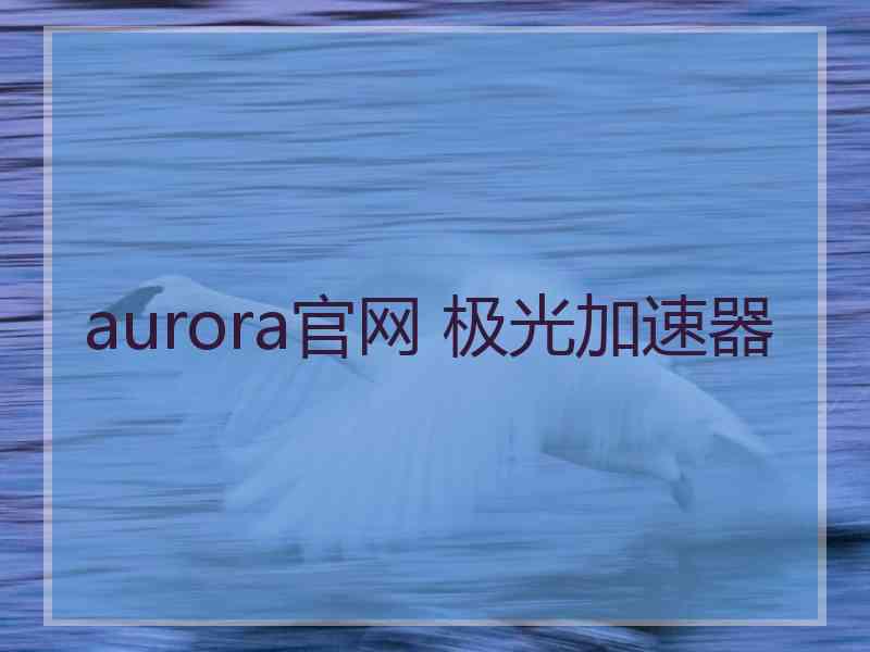 aurora官网 极光加速器