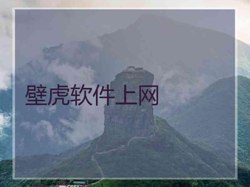 壁虎软件上网