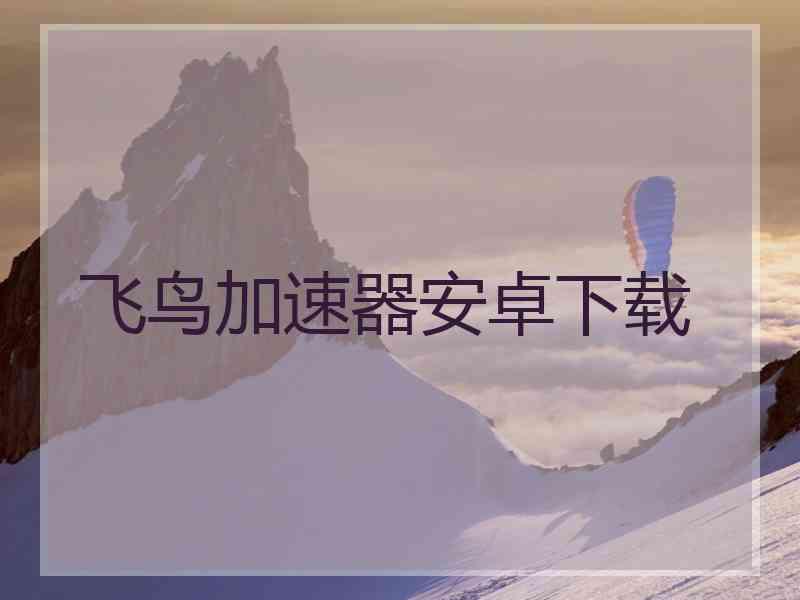 飞鸟加速器安卓下载