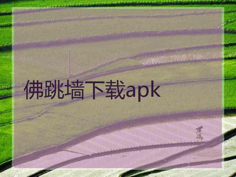 佛跳墙下载apk