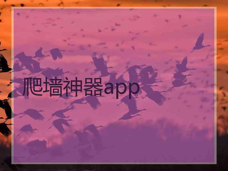 爬墙神器app