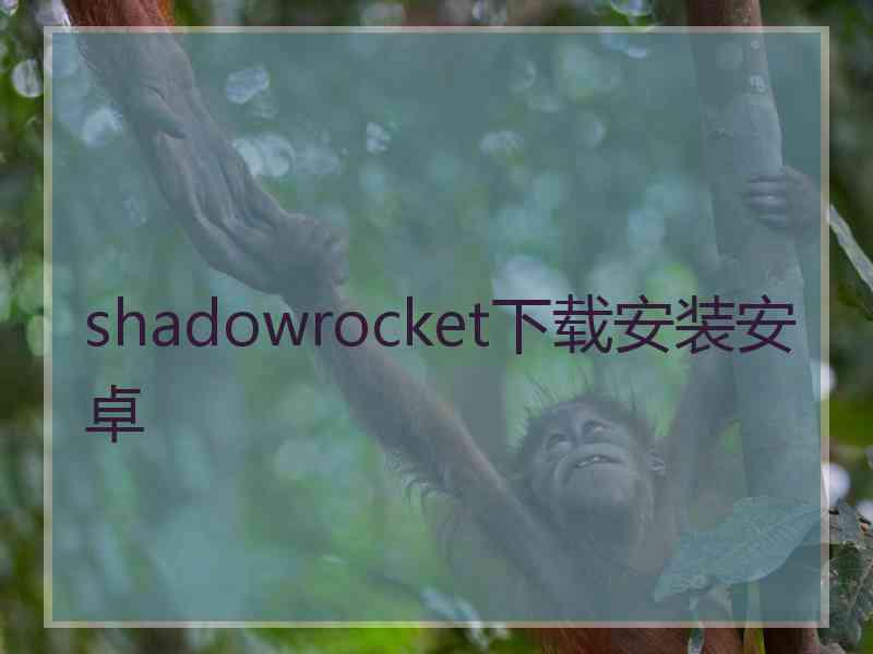 shadowrocket下载安装安卓