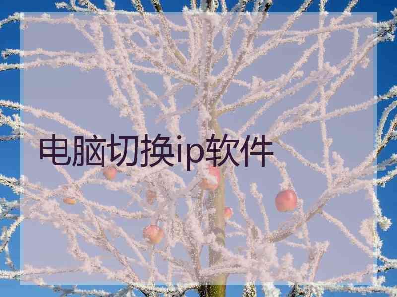 电脑切换ip软件