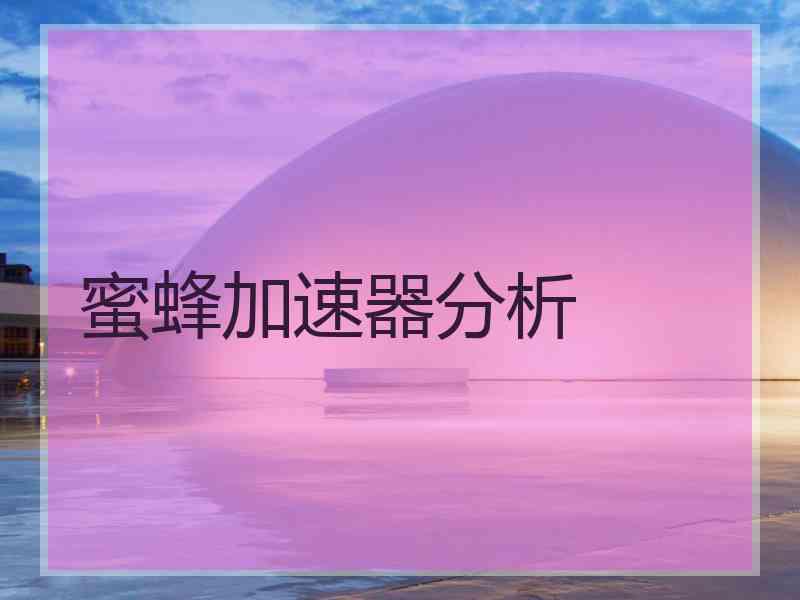 蜜蜂加速器分析
