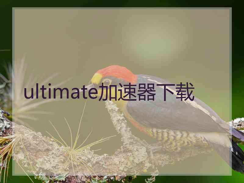 ultimate加速器下载