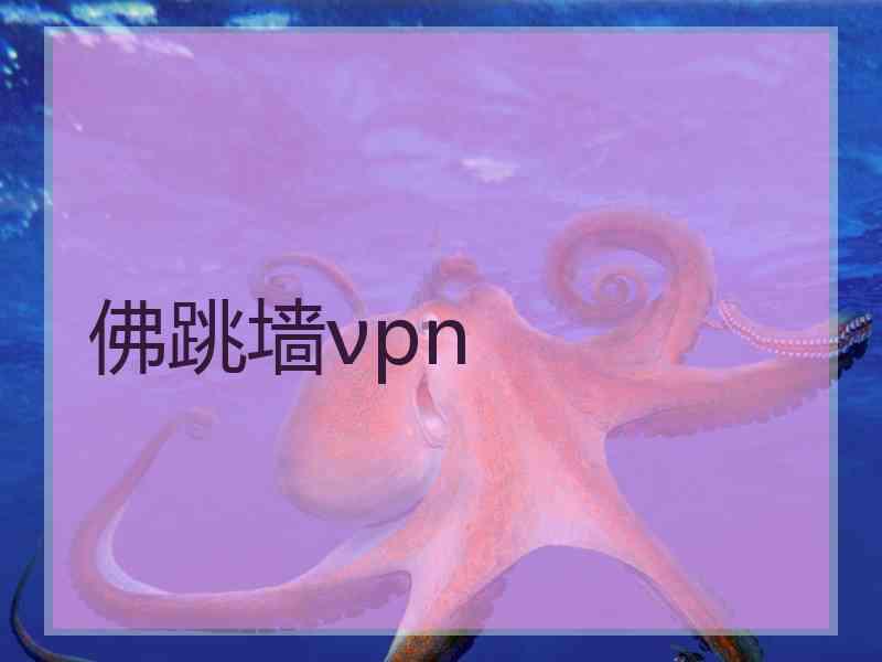 佛跳墙νpn