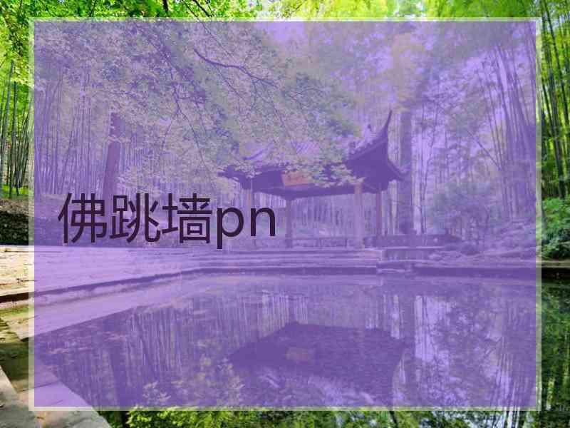 佛跳墙pn