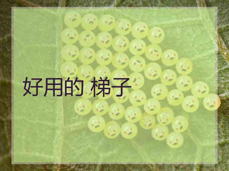 好用的 梯子