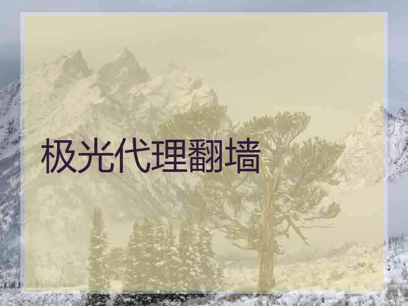 极光代理翻墙