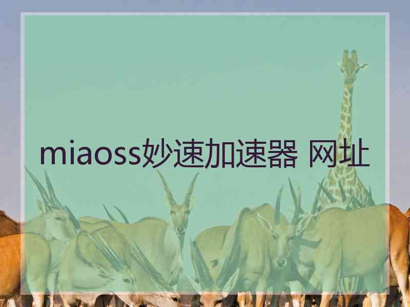 miaoss妙速加速器 网址