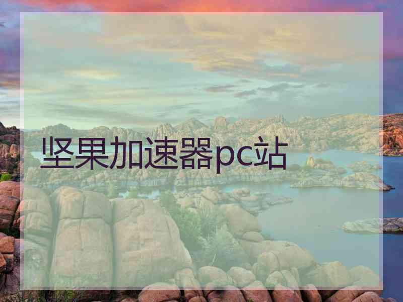 坚果加速器pc站