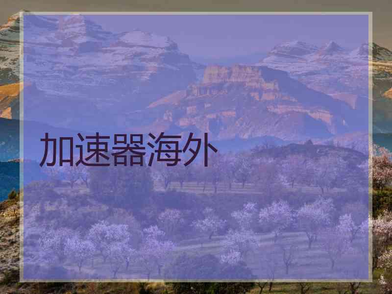 加速器海外