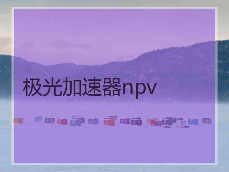 极光加速器npv