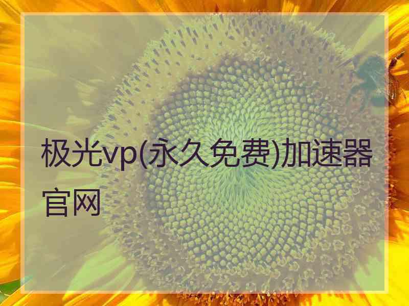 极光vp(永久免费)加速器官网