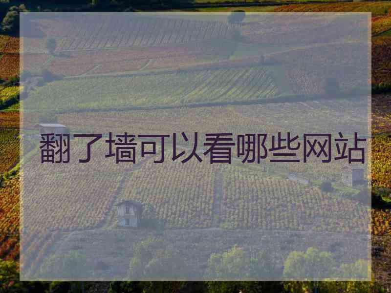 翻了墙可以看哪些网站