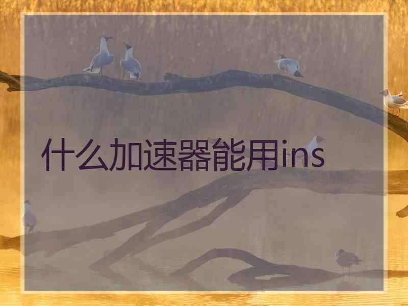 什么加速器能用ins