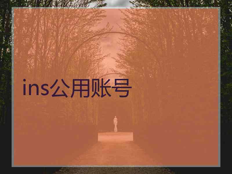 ins公用账号