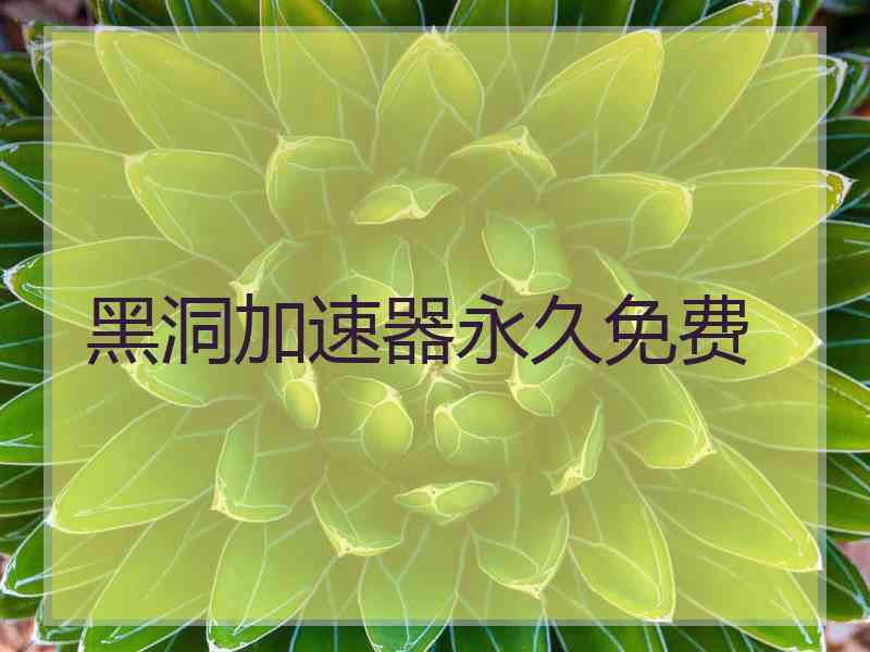 黑洞加速器永久免费