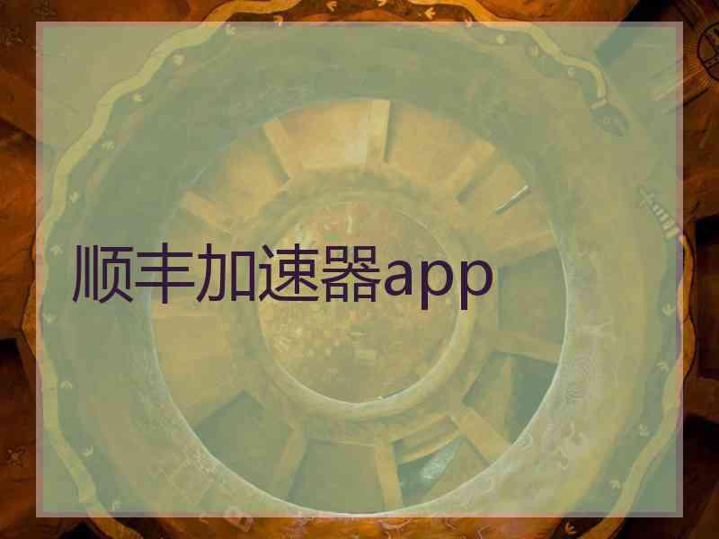 顺丰加速器app