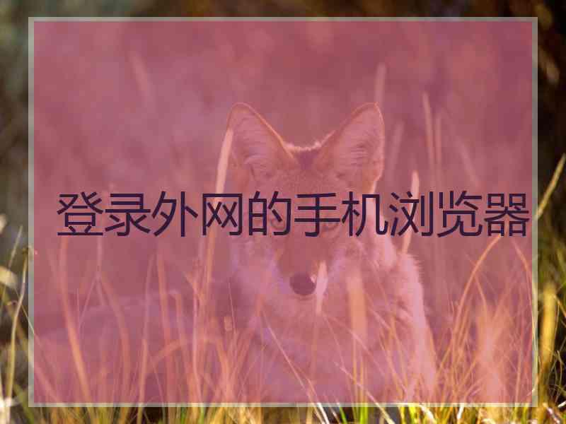 登录外网的手机浏览器