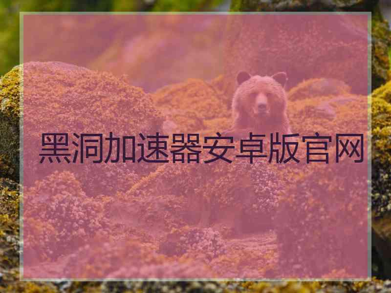 黑洞加速器安卓版官网