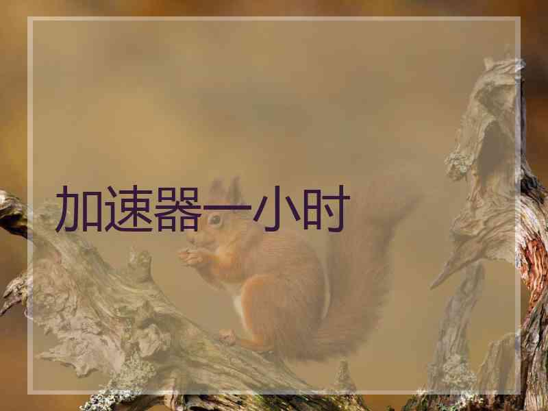 加速器一小时