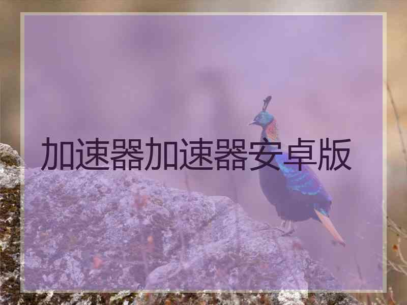 加速器加速器安卓版