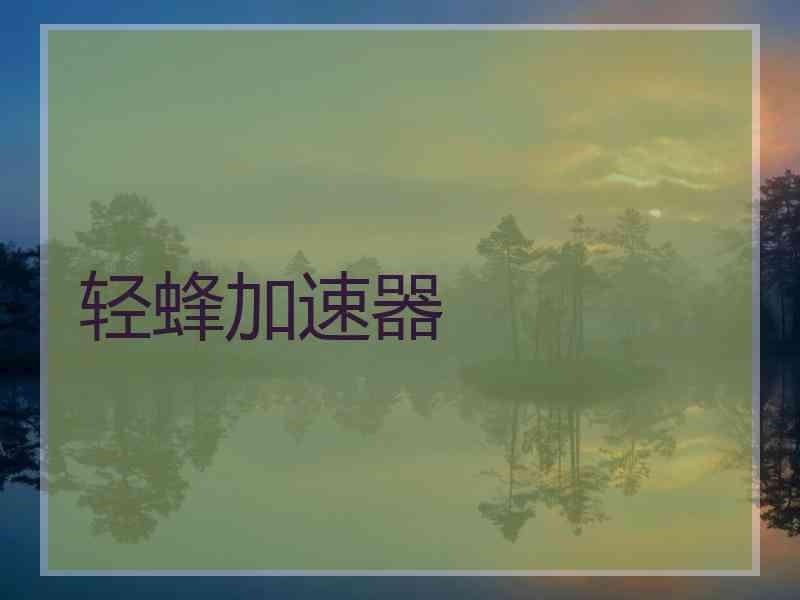 轻蜂加速器