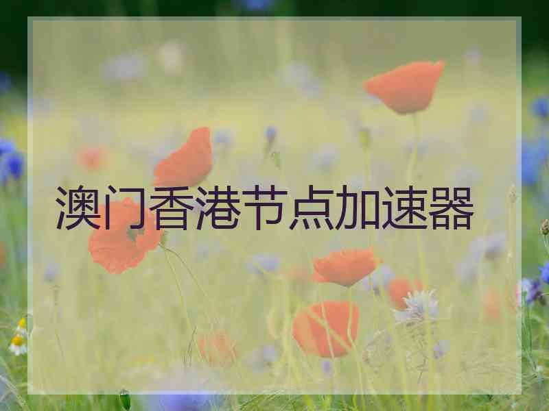 澳门香港节点加速器