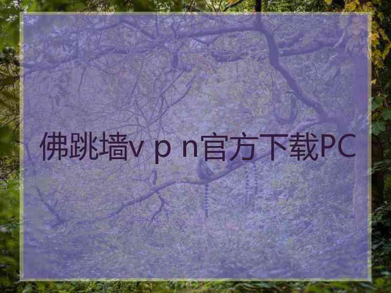 佛跳墙v p n官方下载PC