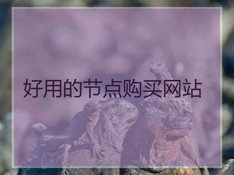 好用的节点购买网站