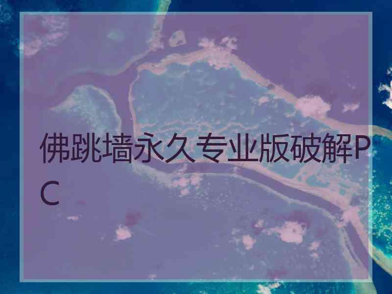 佛跳墙永久专业版破解PC