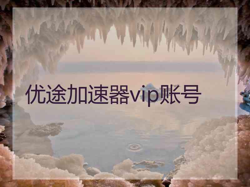 优途加速器vip账号