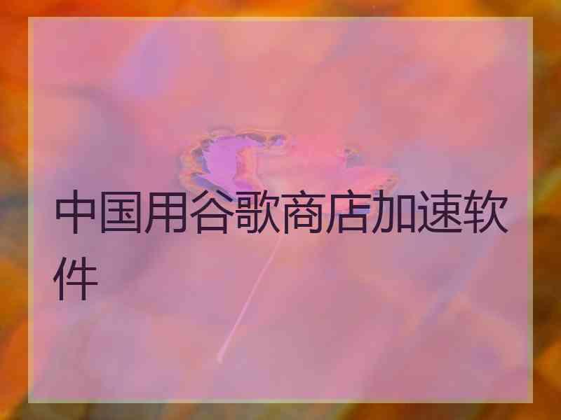 中国用谷歌商店加速软件