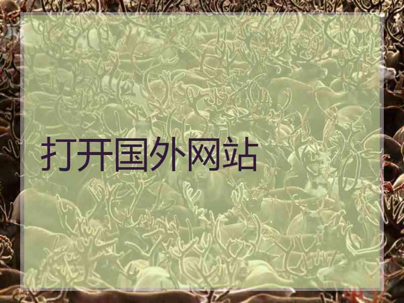 打开国外网站