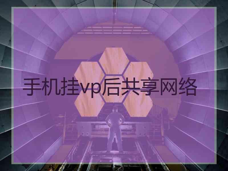 手机挂vp后共享网络