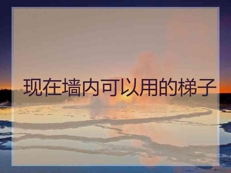 现在墙内可以用的梯子