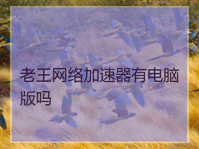 老王网络加速器有电脑版吗