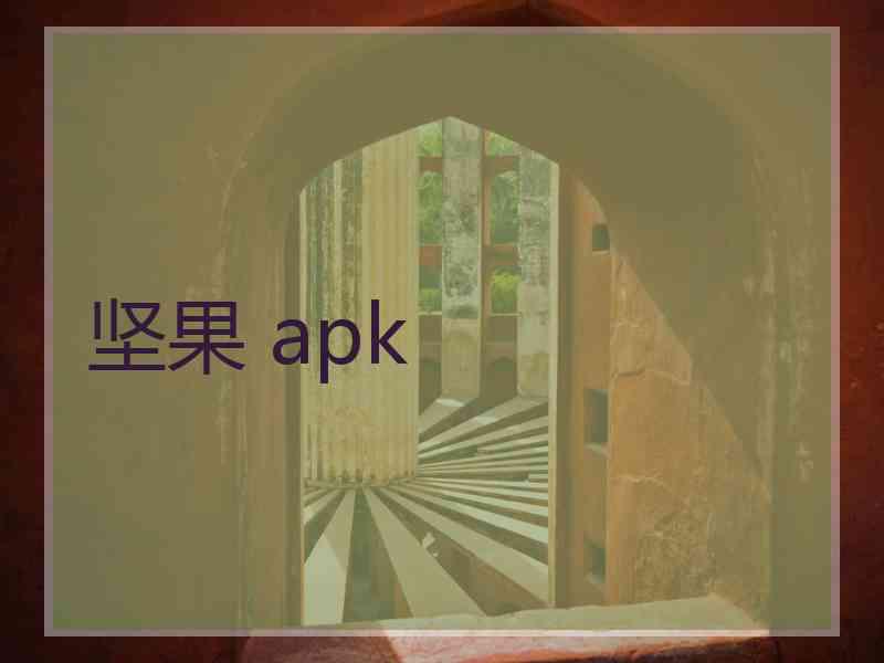 坚果 apk