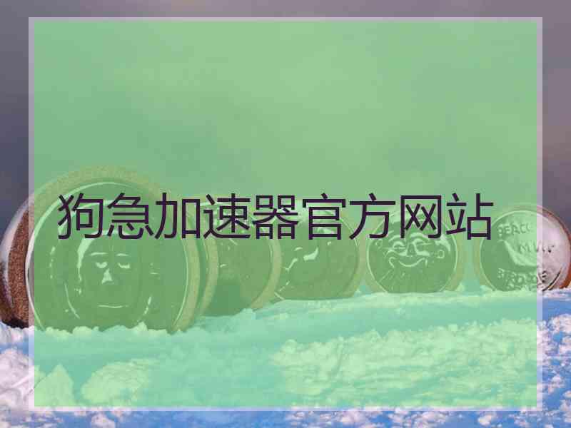 狗急加速器官方网站