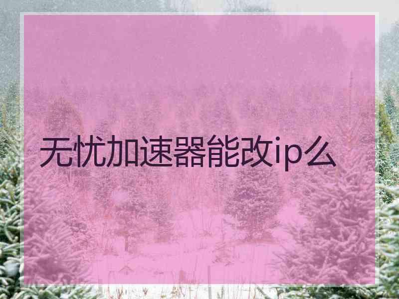 无忧加速器能改ip么