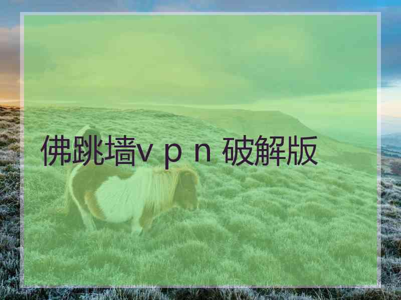 佛跳墙v p n 破解版