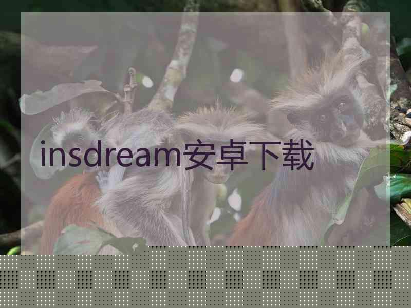 insdream安卓下载