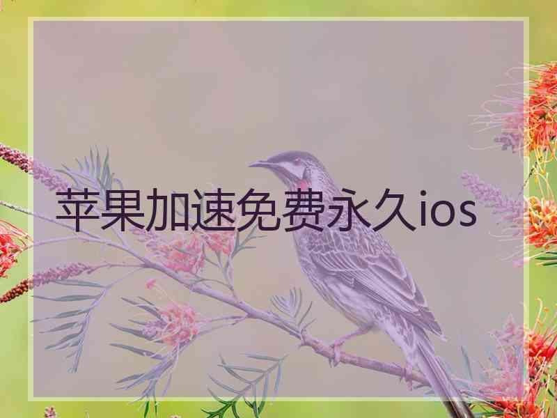 苹果加速免费永久ios