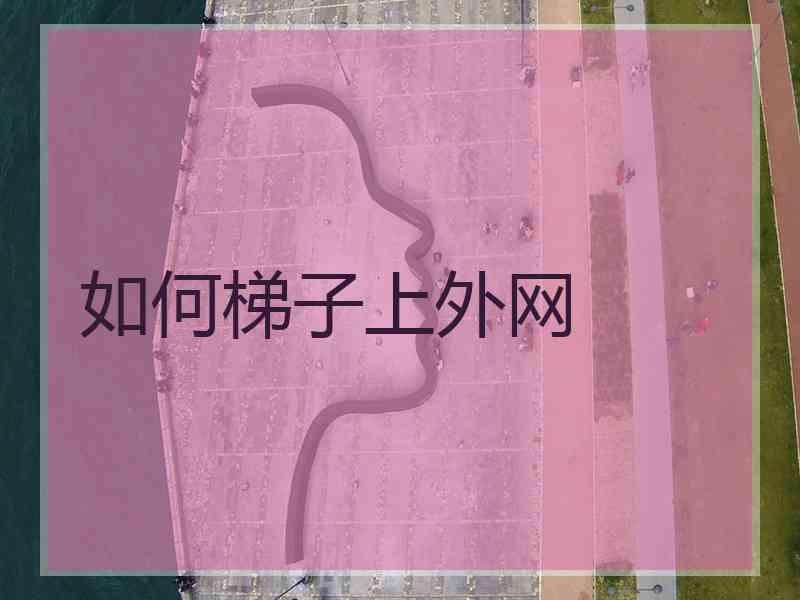 如何梯子上外网